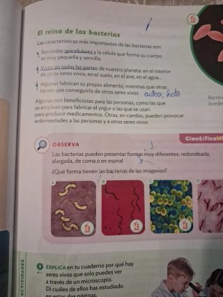 Ciencias de la Naturaleza, 4 Primaria, Proyecto...