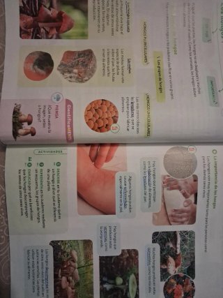 Ciencias de la Naturaleza, 4 Primaria, Proyecto...