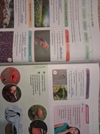 Ciencias de la Naturaleza, 4 Primaria, Proyecto...