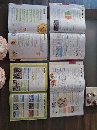 Coneixement del medi 5 tercer cicle primària. C...