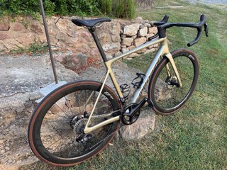 Megamo Raise 05 cw 2026