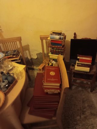 Lote Muebles y Enseres Casa