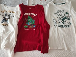 Lote 12 Camisetas Niños Variadas