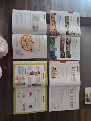 Coneixement del medi 3  primària.