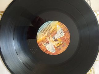 Vinilo Led Zeppelin - Presence