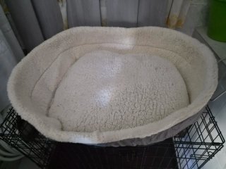 Lote ,jaula ,cama comederos,cama y mantita