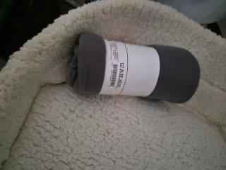 Lote ,jaula ,cama comederos,cama y mantita