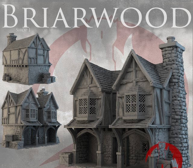 Briarwood tienda 1 - Escenografía Fantasy 28mm