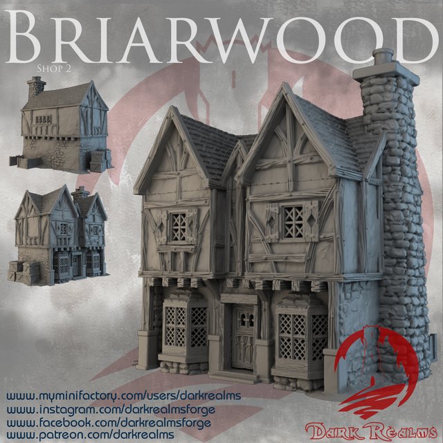 Tienda 2 de Briarwood - Escenografía medieval 28mm