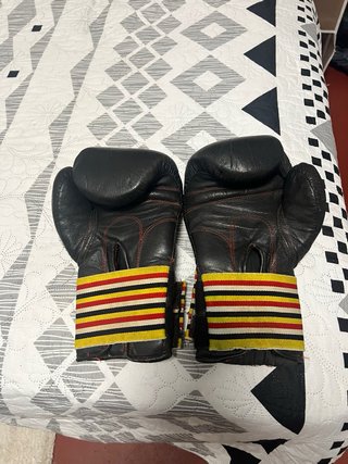 Guantes de Boxeo Charlie Profesional 12oz