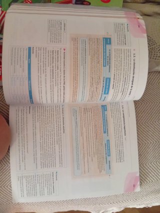 Economía 1.o Bachillerato