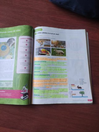 Biología y Geología : 1o ESO : Revuela