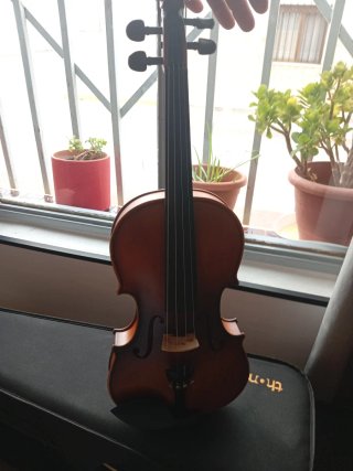 Violín thomann.noevo