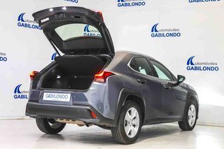 Lexus UX 2.0 250h Business