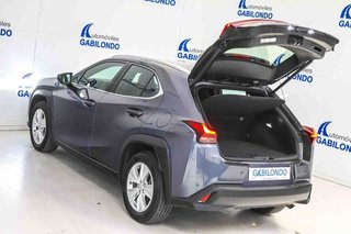 Lexus UX 2.0 250h Business