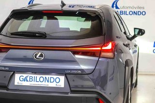 Lexus UX 2.0 250h Business