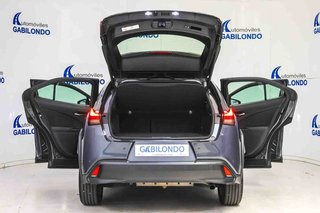 Lexus UX 2.0 250h Business
