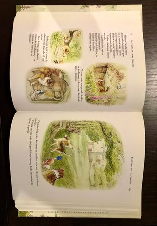 Beatrix Potter Cuentos Completos Libro