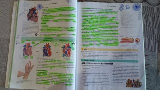Biologia i Geologia 3 ESO LOMLOE