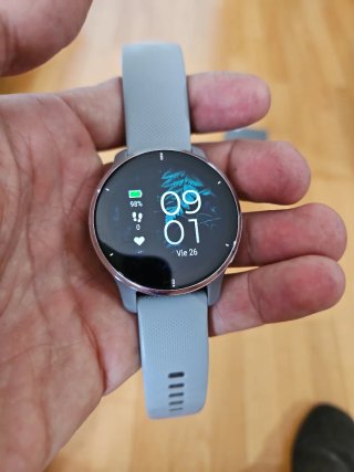 Garmin Venu 2 Plus Gris