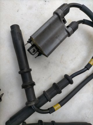 Bobinas Kawasaki ZZR 600R