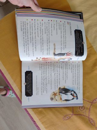 Lecturas para dormir a una princesa. 2 Primaria