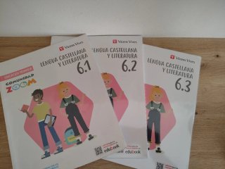 Libros Vicens Vives Lengua Castellana y Literatura