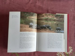 LA NATURALEZA EN EL MUNDO