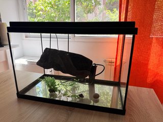Pecera/Acuario/Terrario de crital con accesorios