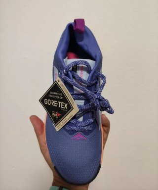 T40 Nike Pegasus Trail 5 GTX Azul/Naranja