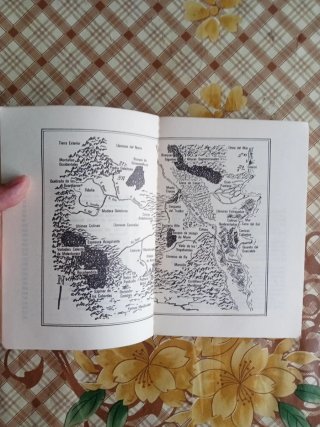 La ruina del ano execrable - Stephen R.  Donaldson