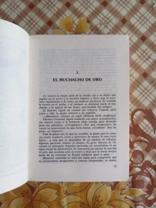 La ruina del ano execrable - Stephen R.  Donaldson