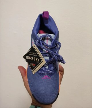 T39 Nike Pegasus Trail 5 GTX Azul/Morado