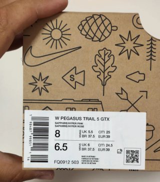 T39 Nike Pegasus Trail 5 GTX Azul/Morado