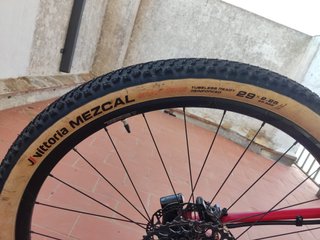 Bicicleta Specialized Epic 29 2019 Rossa