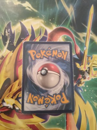 Carta Pokémon Salamence VMAX 144/189
