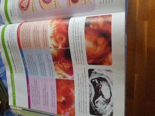 BIOLOGIA I GEOLOGIA 3 SEC CONSTRUINT MONS