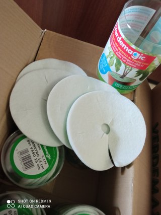 Spugne per vasi diametro 14 cm (4 pz)