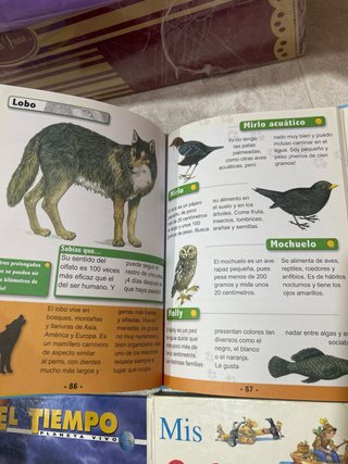 Pack 4 libros infantiles 365