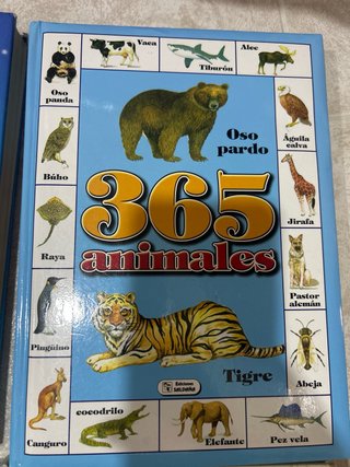 Pack 4 libros infantiles 365