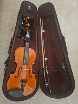Viola Kreutzer School 11