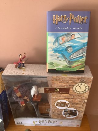 Lote Harry Potter Colección
