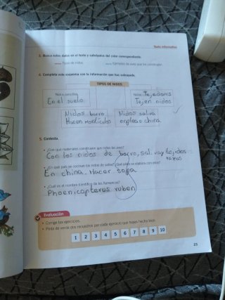 Comprensión lectora fichas de trabajo 4° Primaria