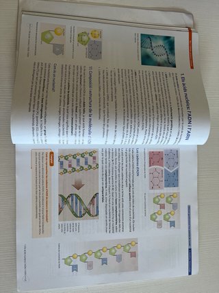 Sisme 4. Biologia i Geologia 4 ESO
