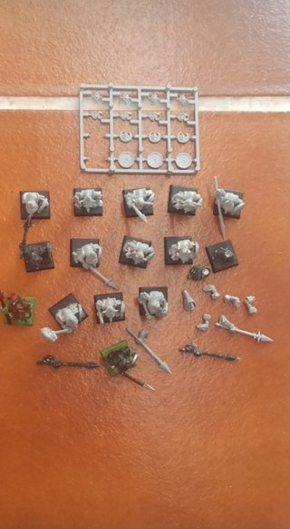 Warhammer Goblins Nocturno I