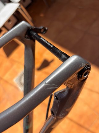 Cuadro Focus Izalco Max Talla 52