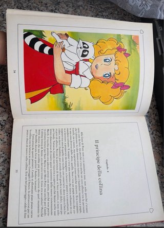 Il romanzo di candy -il mistero del principe-