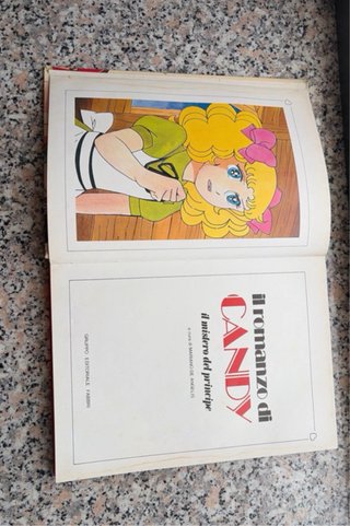 Il romanzo di candy -il mistero del principe-
