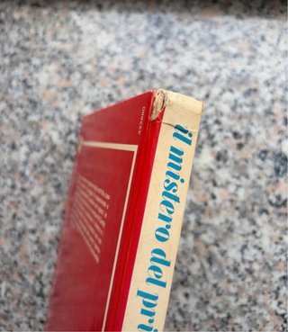 Il romanzo di candy -il mistero del principe-