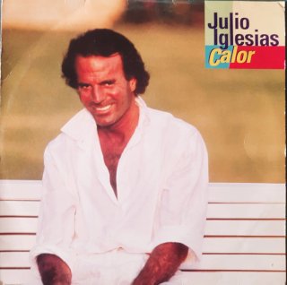 Lote de 24 vinilos
